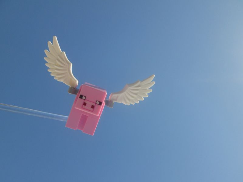 Himmel,Vogel,Flügel,Schnabel,Tagsüber,Linie