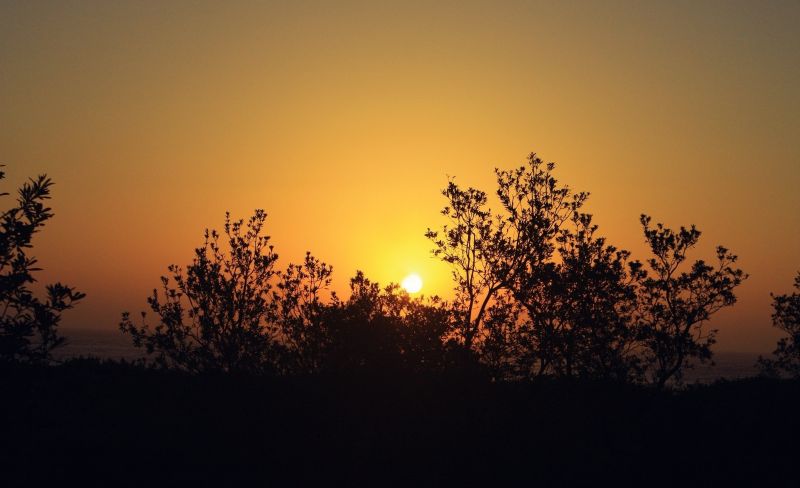 sunlight, landscape, sunset, nature, sky, plants sunlight, landscape, sunset, nature, sky, plants