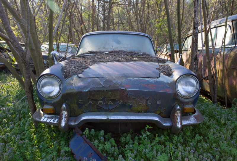 motorové vozidlo, auto, automobilového designu, klasický, starožitný auto, klasická auta