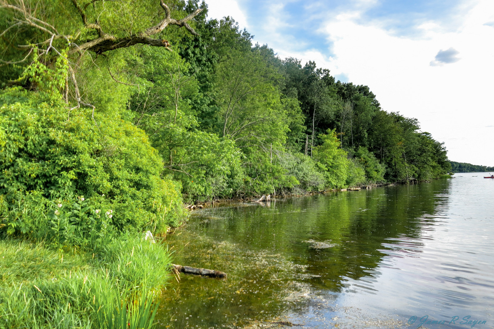 krajina, les, jezero, voda, Příroda, odraz, tráva, nebe, řeka, rybník, džungle, proud, Michigan, Shelby, banka, mount scenérie, přírodní rezervace, mokřadní, strom, rostlina, kajak, vodní tok, vegetace, zátoka, nádrž, jezero, vodní, ekosystém, biome, prales, lužní les, lužní, stoney, vodní zdroje, okres, Metropark, plant community, riparian zone, fluvial landforms of streams