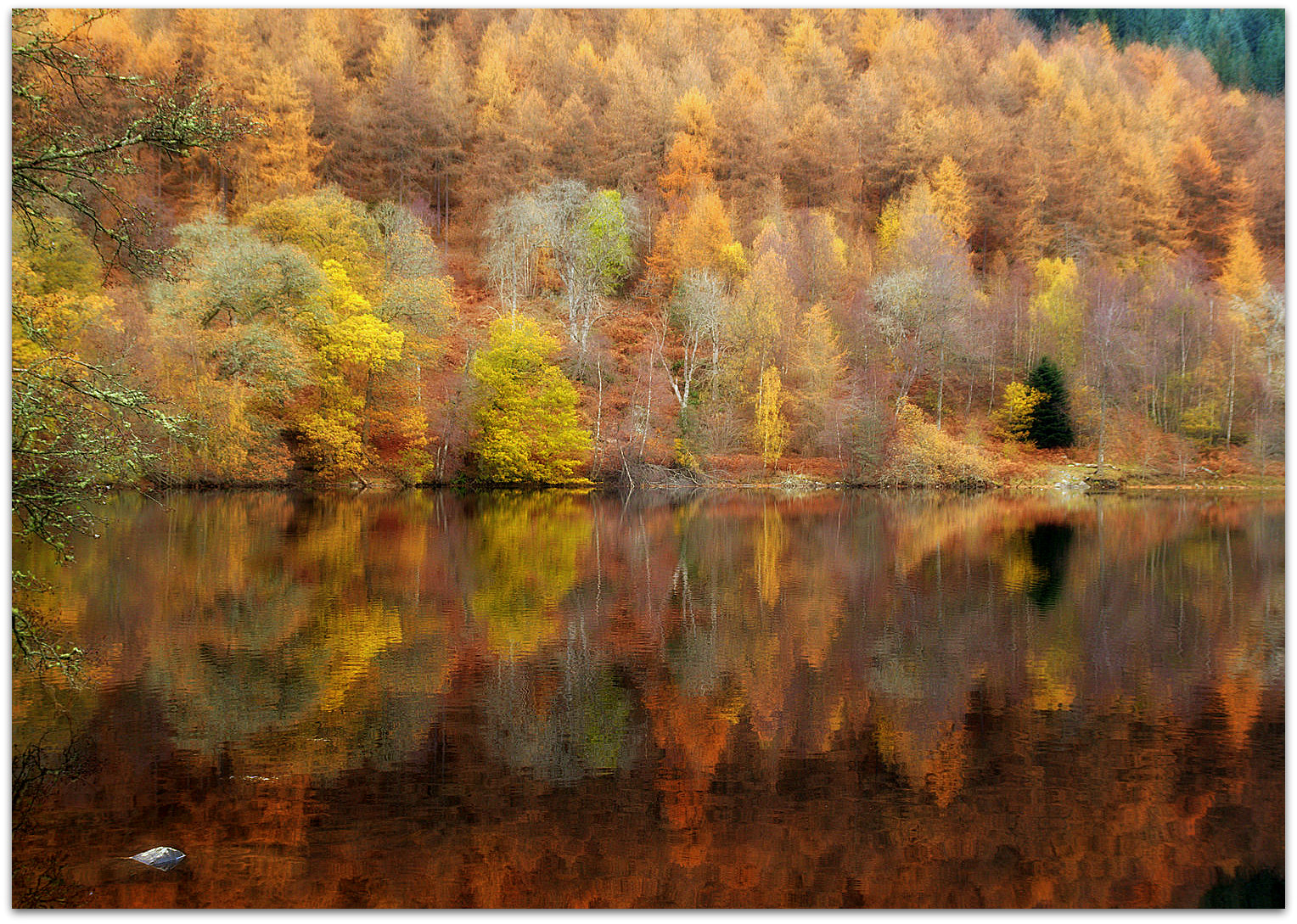 stromy, malování, les, odraz, Skotsko, textura, chůze, buk, mokřadní, strom, podzim, list, sezóna, zálesí, dundee, Perthshire, Pitlochry, Loch Tummel, ericrobbniven, jehličnaté stromy, birchtrees, místo výskytu, přírodní prostředí, moderní umění, impresionista