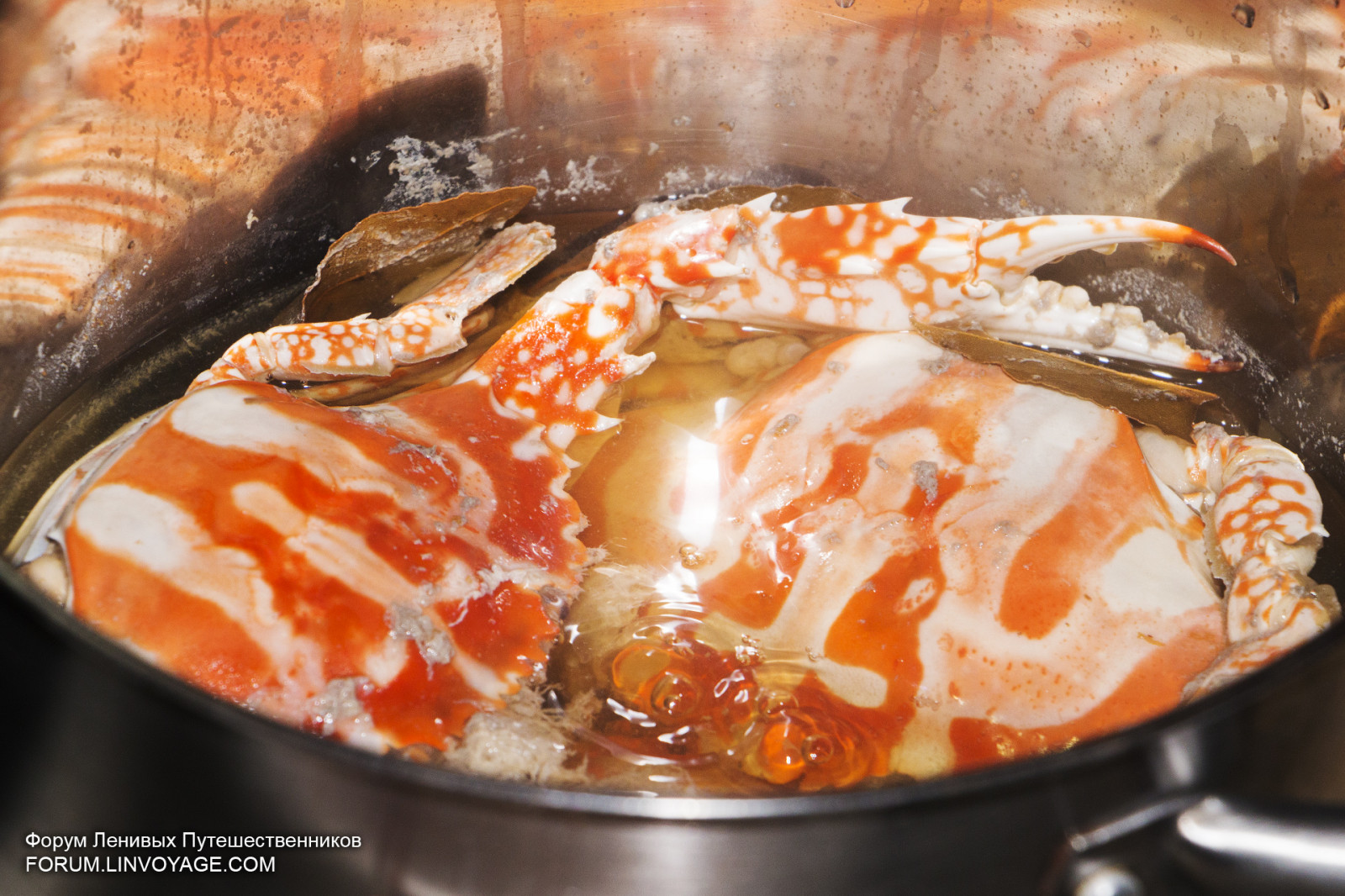 cibo, mare, pesce, bikini, tette, frutti di mare, yacht, Tailandia, pesca, pescatore, cucinando, gamberetto, ragazza, oceano, donna, ponte, sexy, pasto, Granchio, cucina, Phuket, phuketian, vela, phuketphotographernet, forumlinvoyagecom, httpforumlinvoyagecom, calamaro, gamberetto, piatto, produrre, cibo asiatico