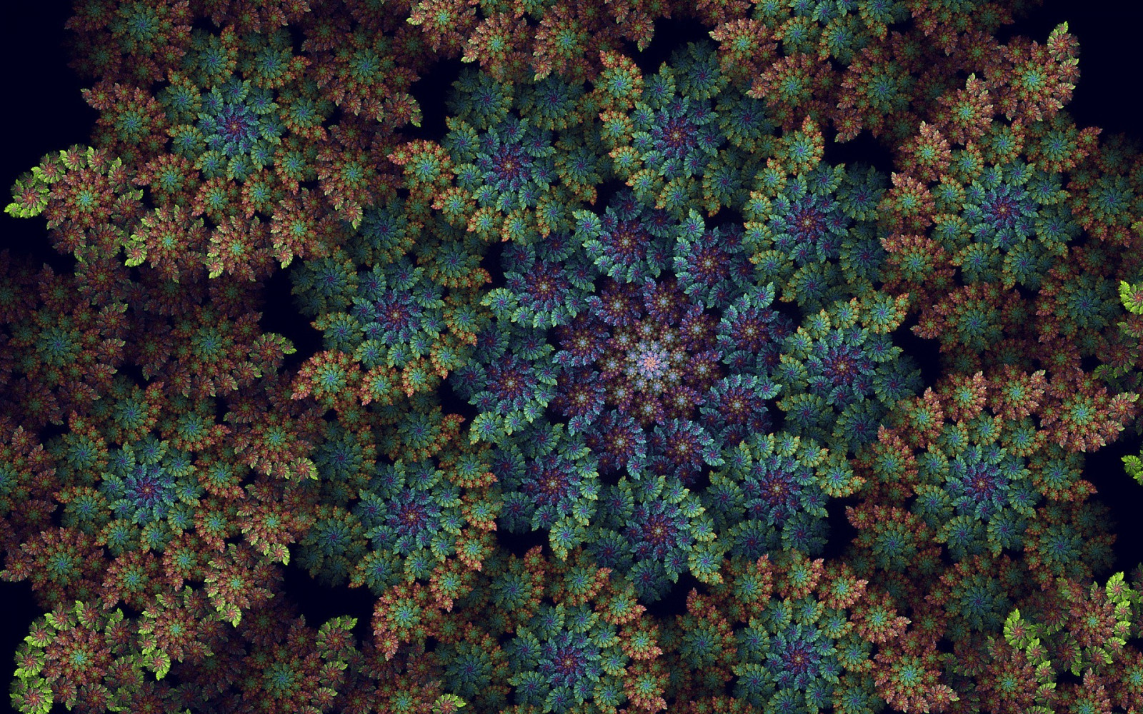 Wallpaper : abstract, spruce, conifer, tree, plant, vegetation ...