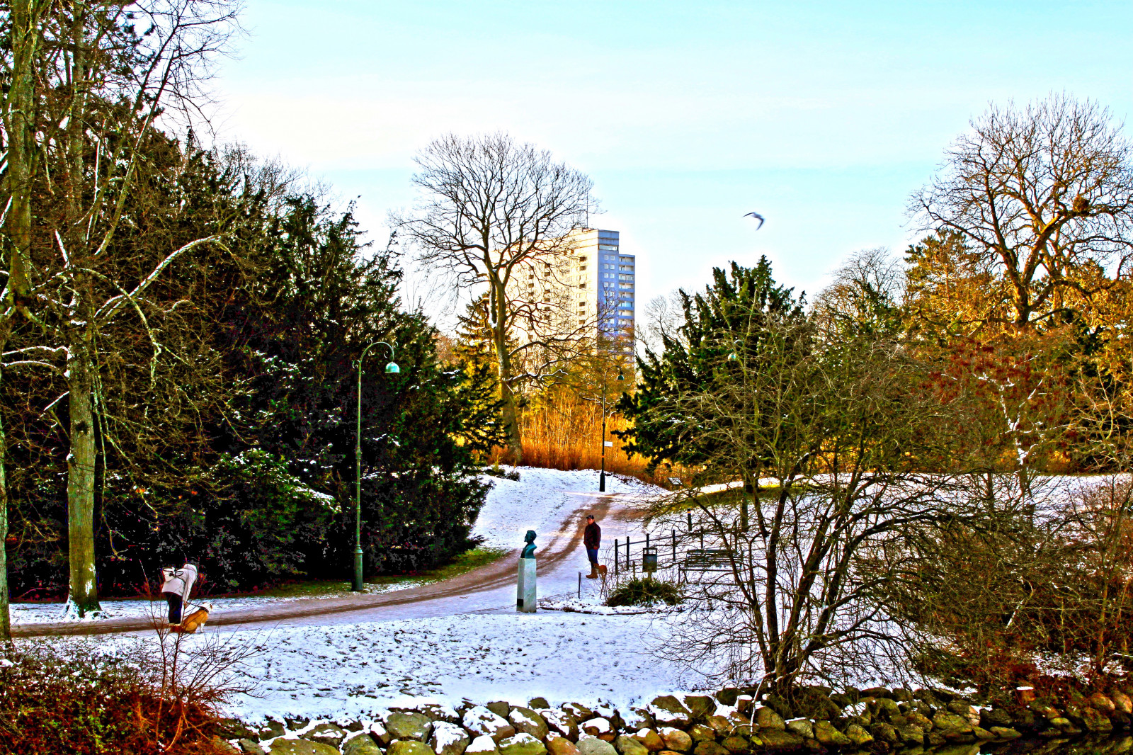slunečnímu záření, stromy, krajina, zahrada, jezero, Příroda, odraz, nebe, park, sníh, zima, ráno, řeka, HDR, rybník, Švédsko, světlo, strom, podzim, list, květ, sezóna, Malmo, Slottsparken, kronprinsen, dřevina