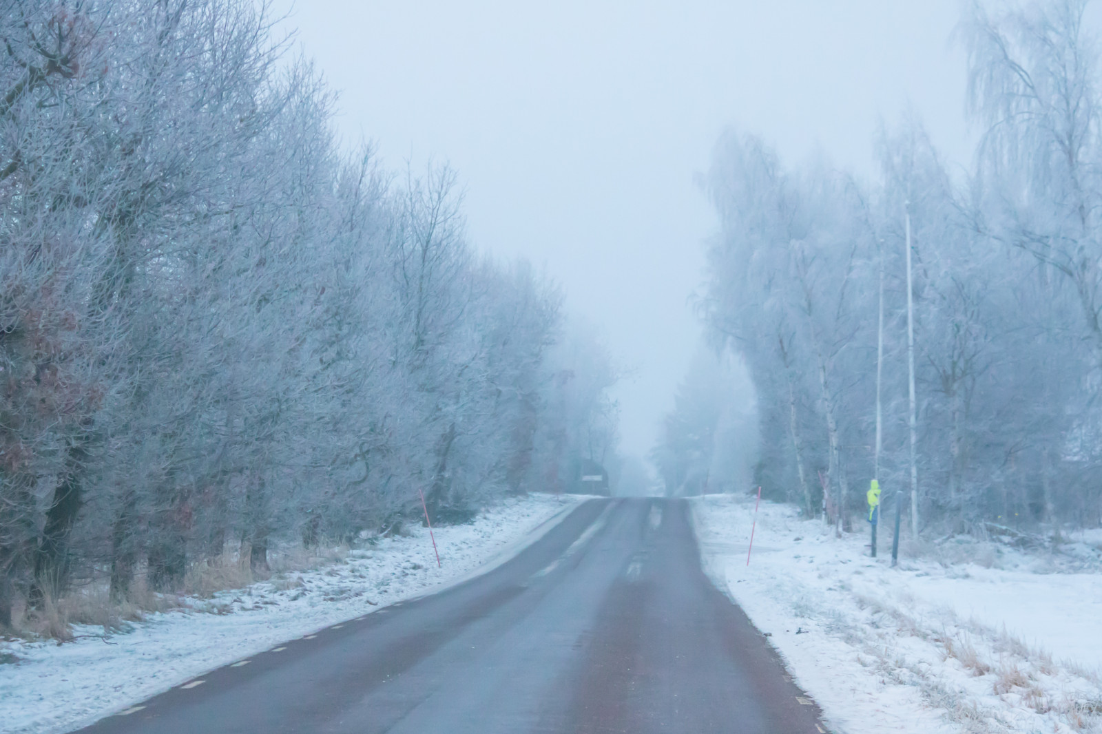 sníh, zima, silnice, Studený, mlha, mráz, Jinovatka, zmrazení, mlha, počasí, sezóna, Vinter, tr d, kallt, skateholm, VAG, rimfrost, tři, vánice, atmosférický jev, zimní bouře, déšť a sníh mísí