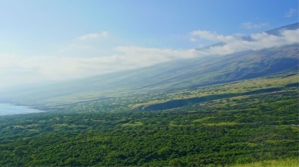 landscape,forest,hill,grass,sky,field