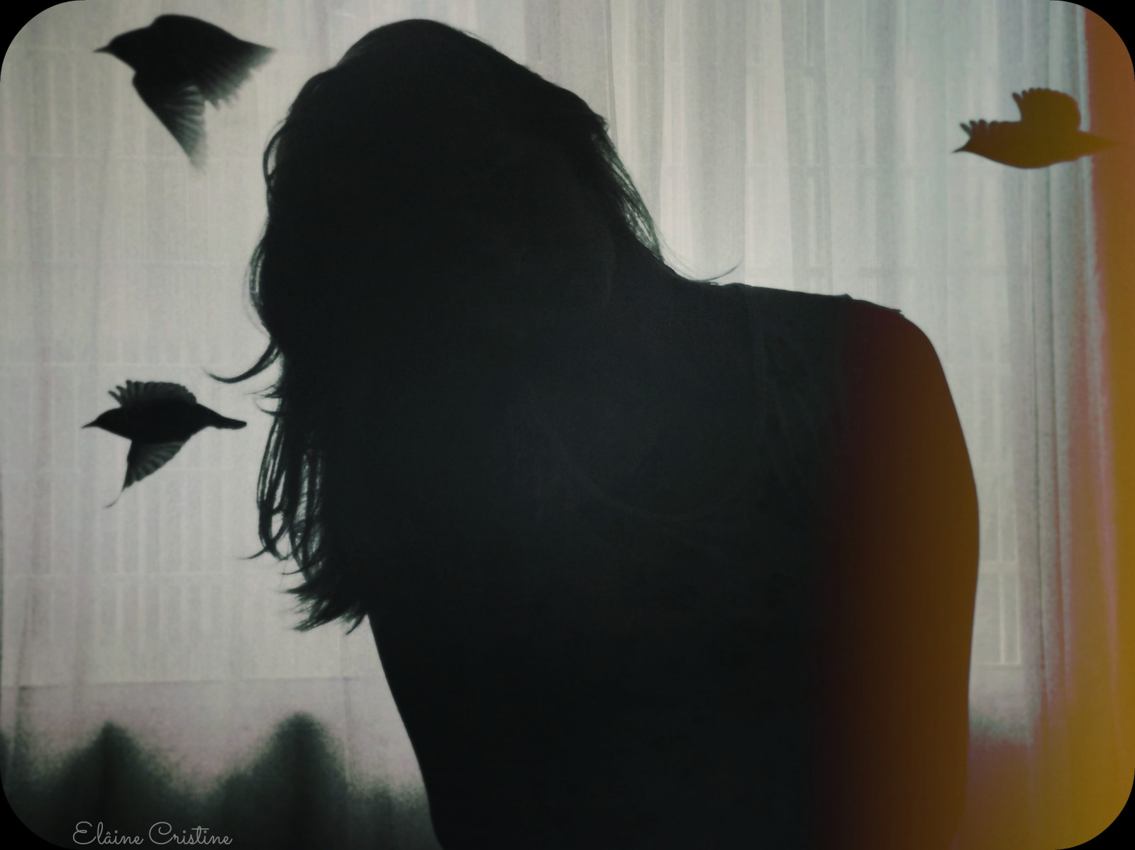 hvid, sort, portræt, blond, hænder, skygge, fotografering, silhuet, hår, årgang, 2014, KUNST, flickr, mig, kvinde, flores, form, film, foto, billede, selv, Fotografia, selvportræt, mulher, 365 dage, Poesia, m os, feminina