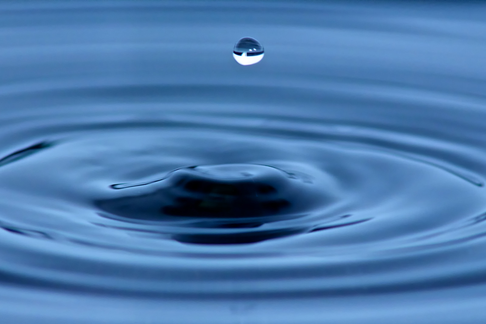 Wallpaper macro, water, Norway, droplets, drops, Bergen 4708x3138