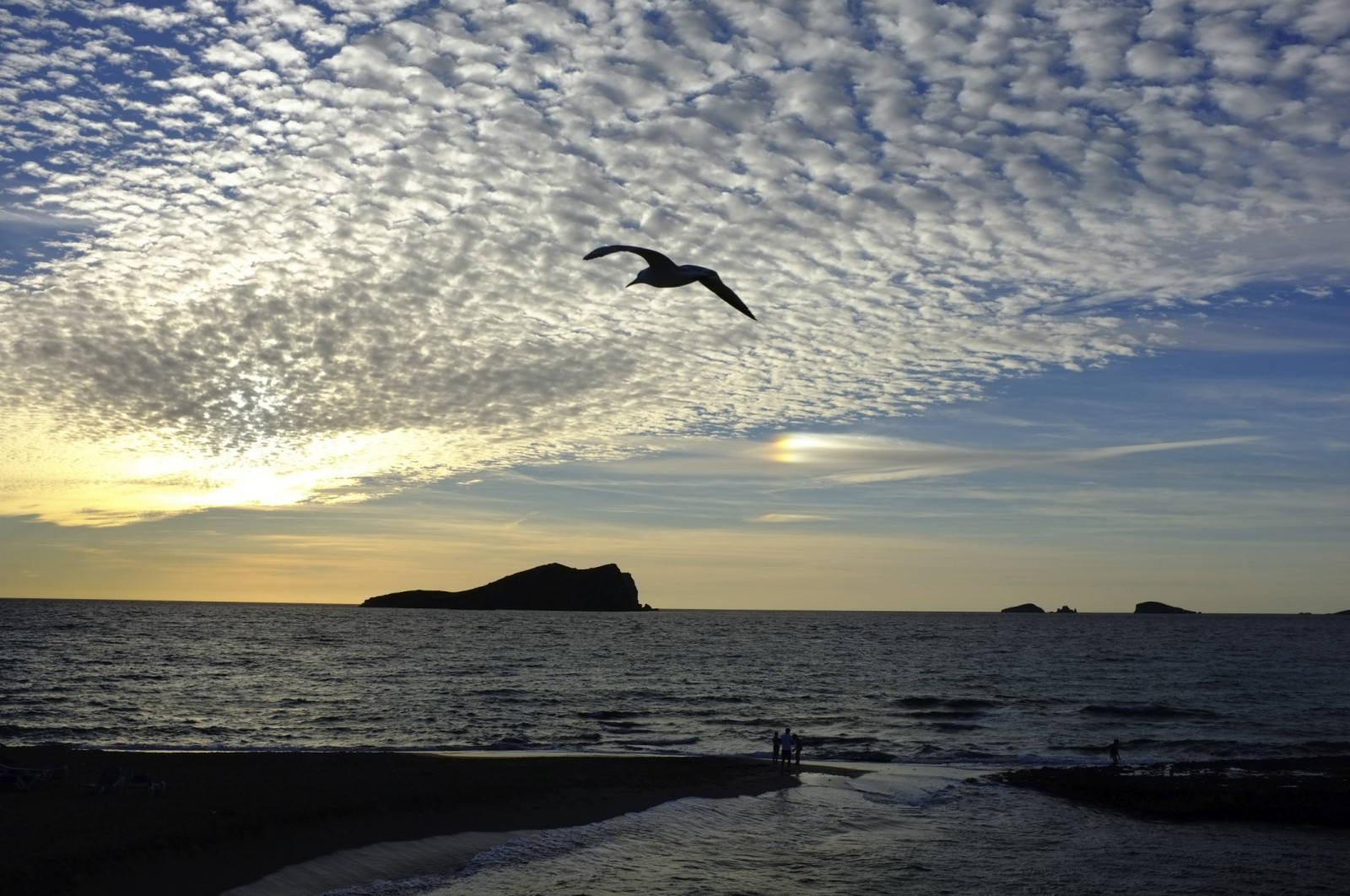 solnedgang, hav, himmel, Sky, fugl, strand, dag, Ibiza, fujifilmx100, pwpartlycloudy