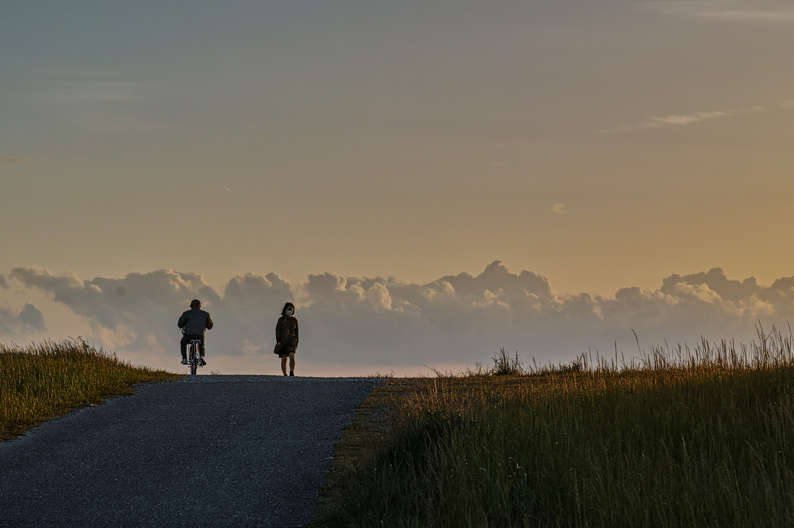 sigma, dp, Foveon, Quattro, DP3, dp3quattro, dp3q