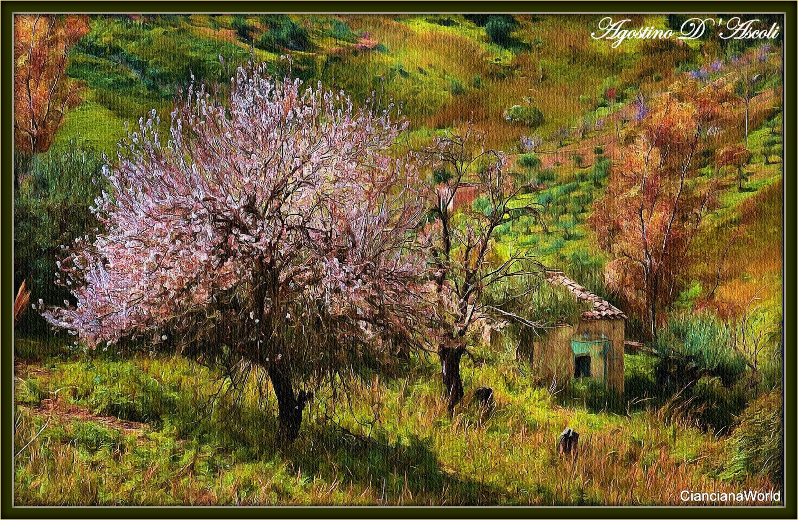 UMĚNÍ, agostinodascoli, alberi, Cianciana, tvořivý, colore, plná barva, impressionismo, digitální umění, digitalpainting, digitalgraph, Photoshop, Paesaggi, piante, krajina, photopainting, textura, Nikon, NIKKOR, Příroda, Mandorlo, mandorlofiorito