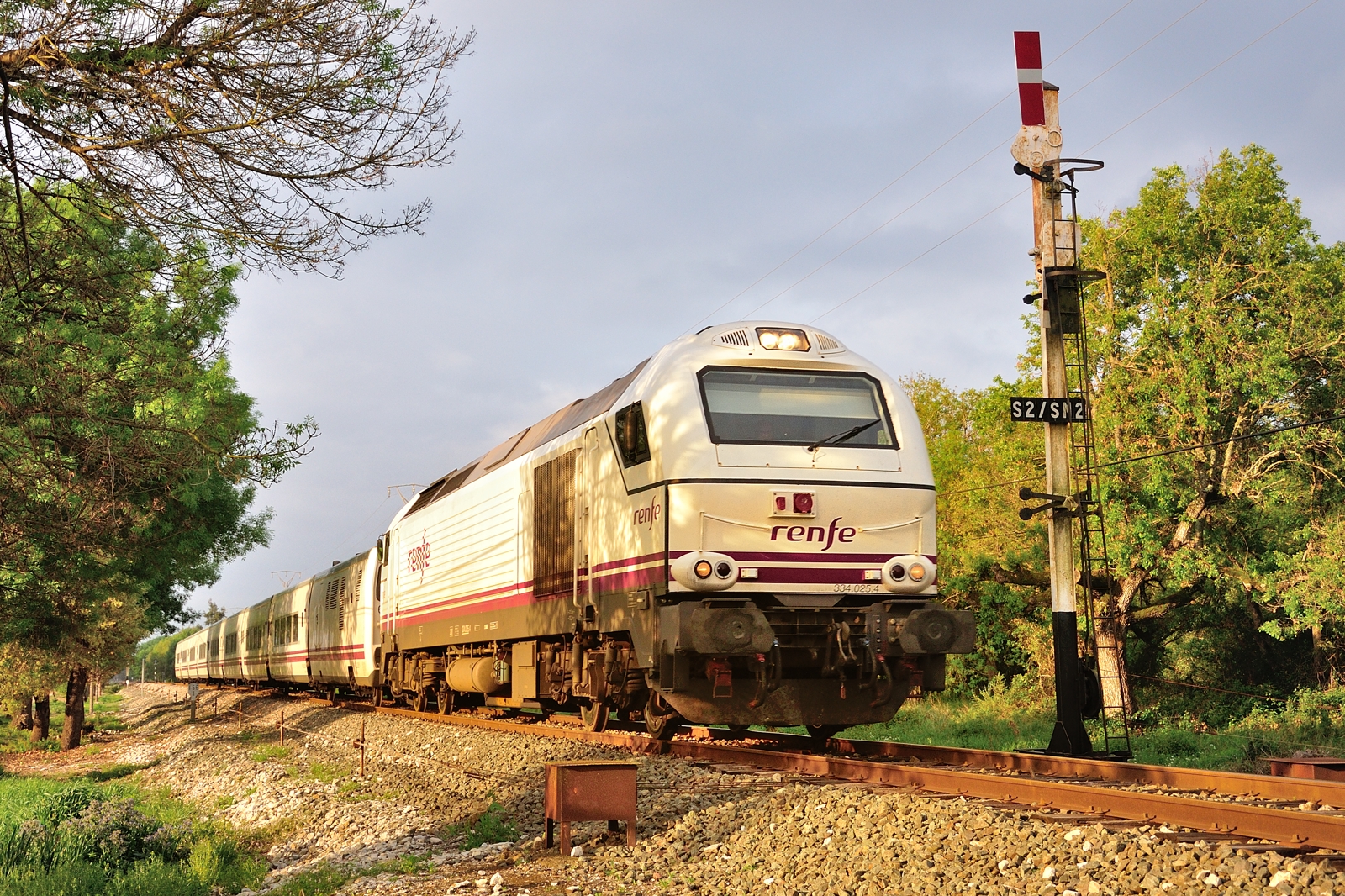 doprava, dráha, vlak, železniční doprava, lokomotiva, rostlina, vozidlo, strom, kolejová vozidla, venkov, železniční vůz, nebe, veřejná doprava