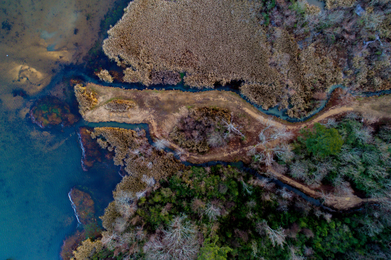 Fondos de pantalla Árboles, agua, naturaleza, la carretera, fauna