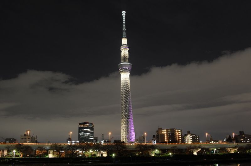 Japan,stadsgezicht,nacht,architectuur,horizon,stad
