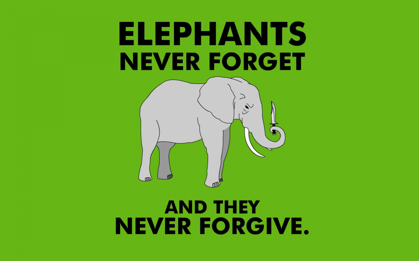 1680x1050 px, Anonymní, sloni, legrační, nože, minimalistický