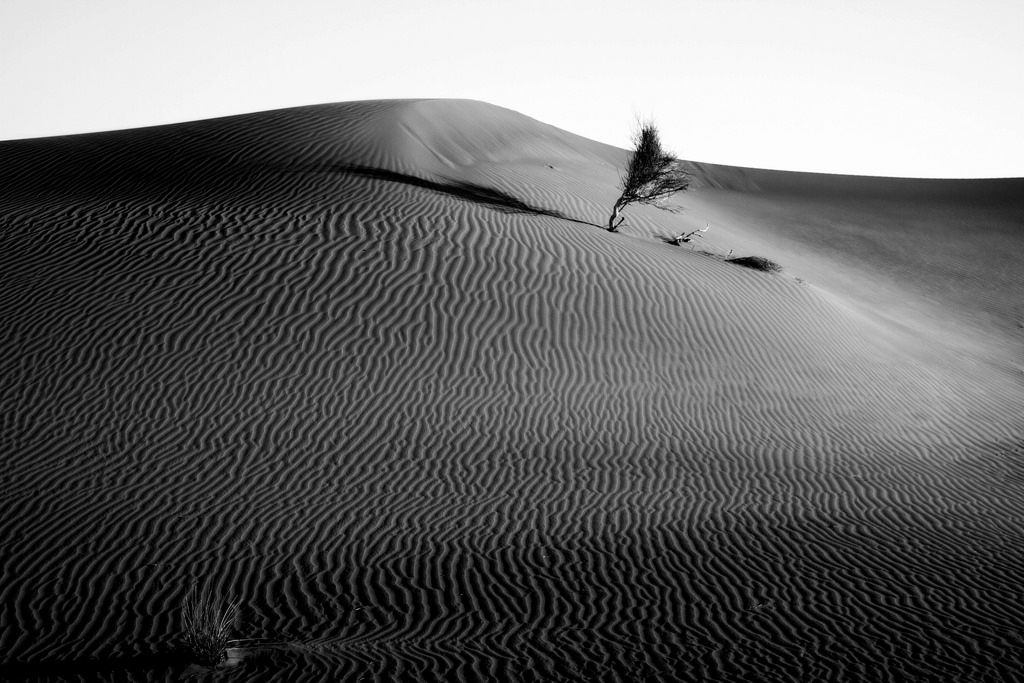 tělesné, textura, čáry, kontrast, krajina, dubaj, poušť, dílna, neúrodný, Spojené arabské emiráty, 2014, pastpresentfuture, urbanx, mdkistler, findingyourselfinthestreets, copyrightmichaelkistler, Theklaverses