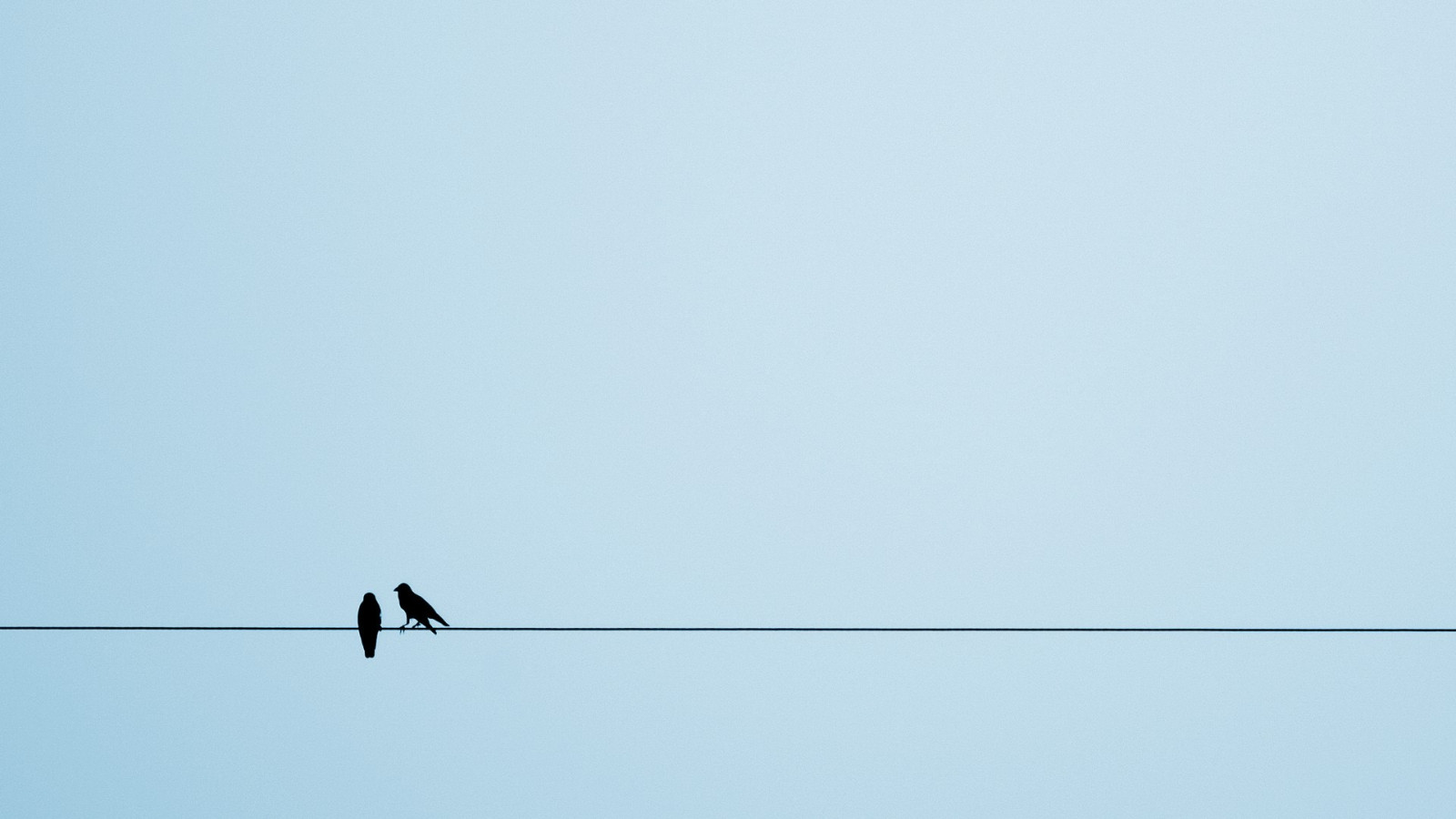 1920x1080 px, zvěř, ptactvo, vrána, Evropská straka, Lana, silueta, jednoduché pozadí