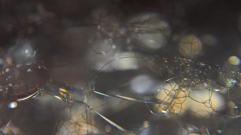 매크로,거품,햇빛,밤,물,분기