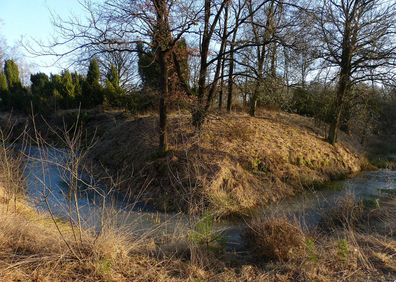 1330407, panasonicdmcfz150, Buurserzand, Natuurmonumenten, natuurgebied, přírodní rezervace, Twente, Overijssel, nederland, Nizozemí, Holandsko, Landschap, krajina, Landschaft, paysage, Harrevelderschans