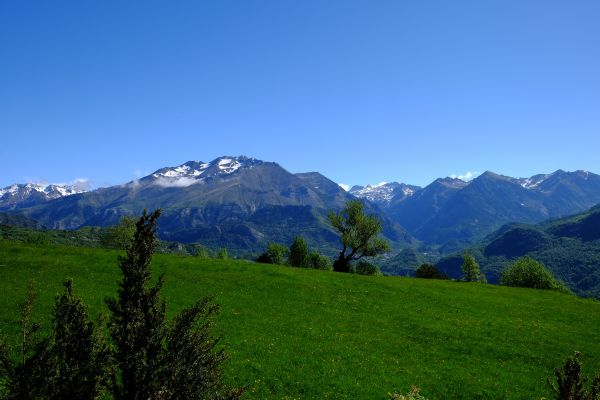 landscape,hill,nature,grass,sky,field