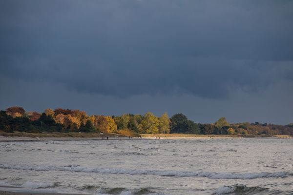 sea, bay, lake, landscape, water, nature