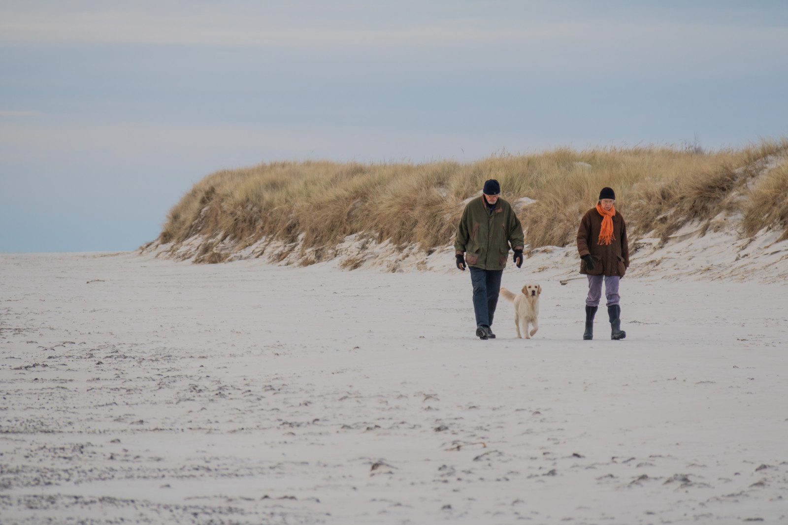 persone, mare, sabbia, la neve, inverno, spiaggia, costa, artico, duna, tempo metereologico, stagione, filo, Vinter, HAV, m nniskor, Sterlen, kust, Sandhammar, habitat, ambiente naturale, landform Eolie