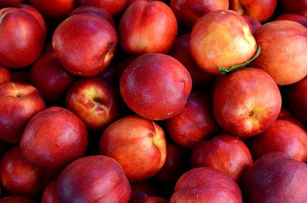 nectarines,fruit,ripe