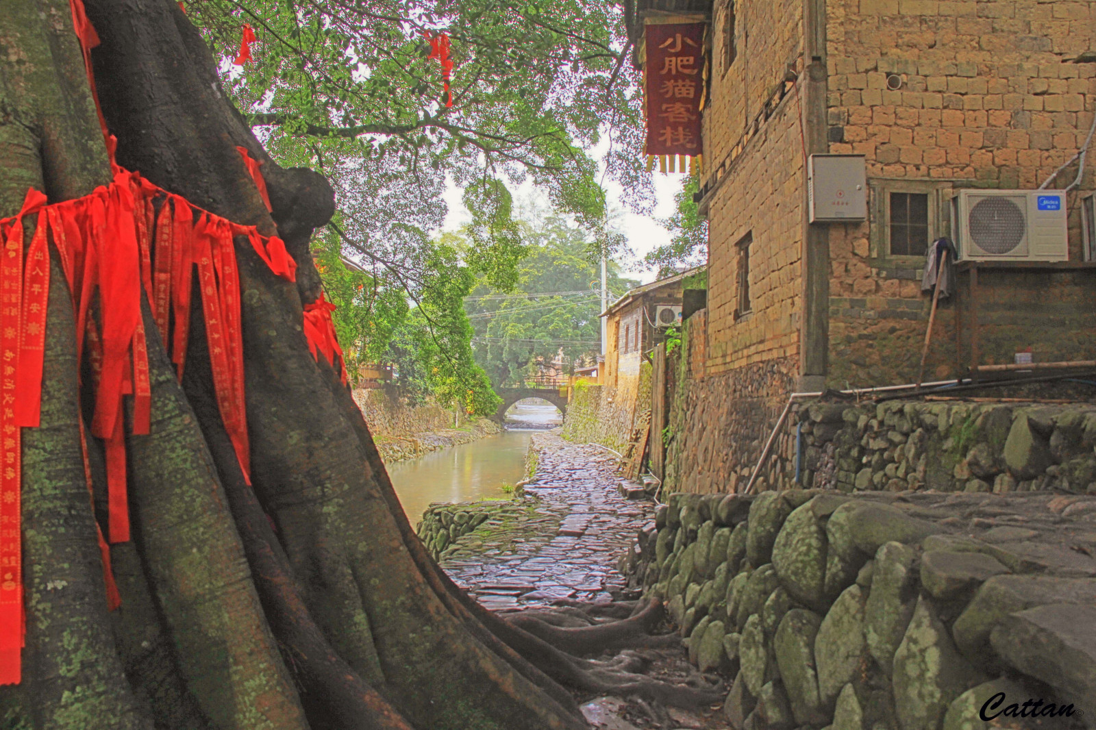 krajina, ulice, Čína, Příroda, Dům, vesnice, most, Nanjing, strom, cestovat, rostlina, alej, landscapephotography, travelphotography, naturephotography, Travelblogger, Cestování, Příroda