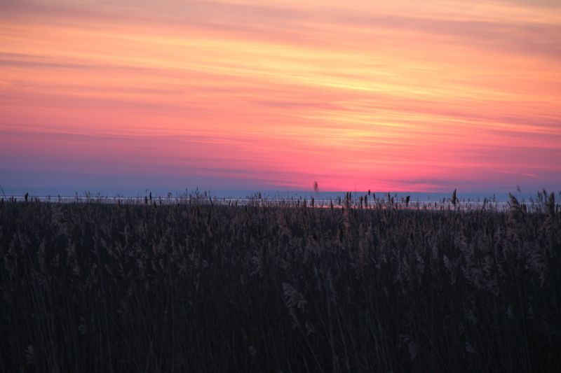 sunlight, sunset, sea, sky, nature, field sunlight, sunset, sea, sky, nature, field