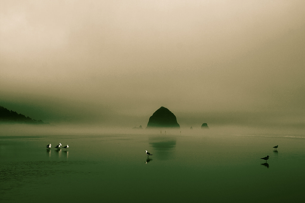 แสงแดด, ภูเขา, นก, ทะเล, ทะเลสาบ, น้ำ, หิน, ธรรมชาติ, ฝั่ง, ทราย, การสะท้อน, ชายหาด, พระอาทิตย์ขึ้น, สีเขียว, เช้า, หมอก, คลื่น, ชายฝั่ง, seagulls, ขอบฟ้า, หิน, เปียก, โอเรกอน, พลบค่ำ, หมอกควัน, ย้อนกลับ, ปืนใหญ่, แปซิฟิก, เมฆ, ลึกลับ, หมอก, สภาพอากาศ, รุ่งอรุณ, มหาสมุทร, คลื่น, ขลัง, ตัวเลข, ตะวันตกเฉียงเหนือ, ห่างไกล, ปรากฏการณ์บรรยากาศ, ตรงข้ามกัน, refections, กองหญ้า, ย้อนกลับ