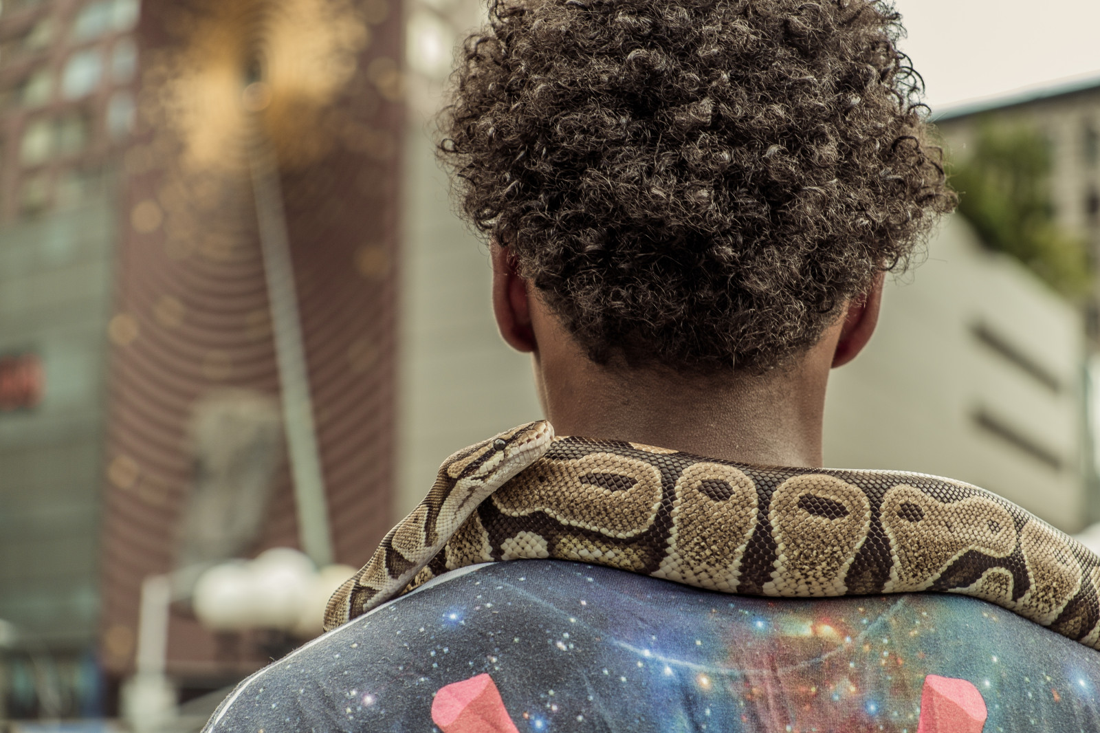 vlasy, účes, člověk, chrám, paže, human behavior, strom, vzor, krk