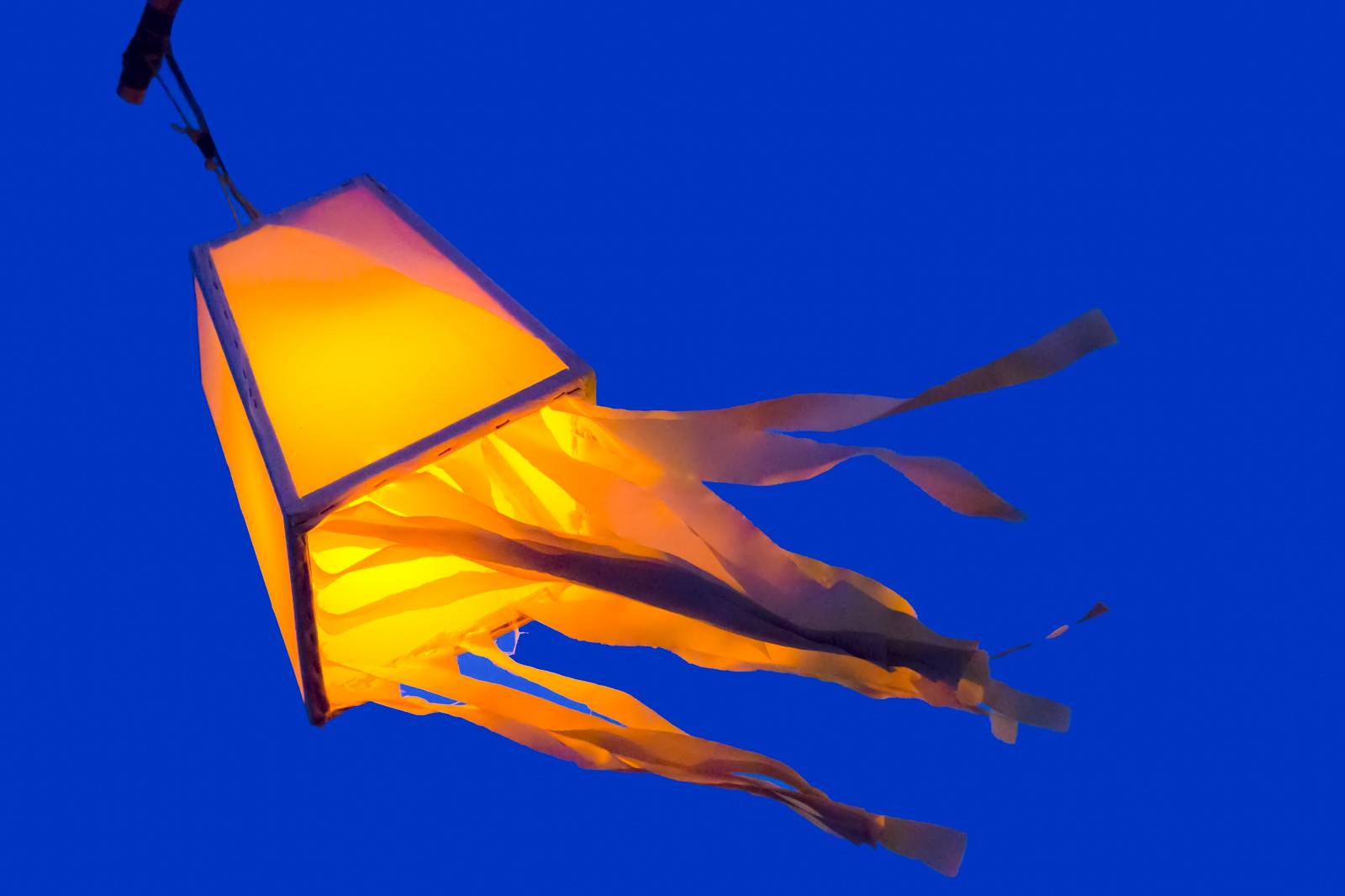 ilustrace, západ slunce, noc, nebe, pláž, dřevo, žlutý, večer, svítilna, vítr, zlato, Dovolená, Thajsko, jasný, rána, světlo, barva, strom, cestovat, list, květ, Rychlost, tok, výlet, Pattaya, krabi, Samui, phuket, Lanta, lattern, bluebackground, křídlo