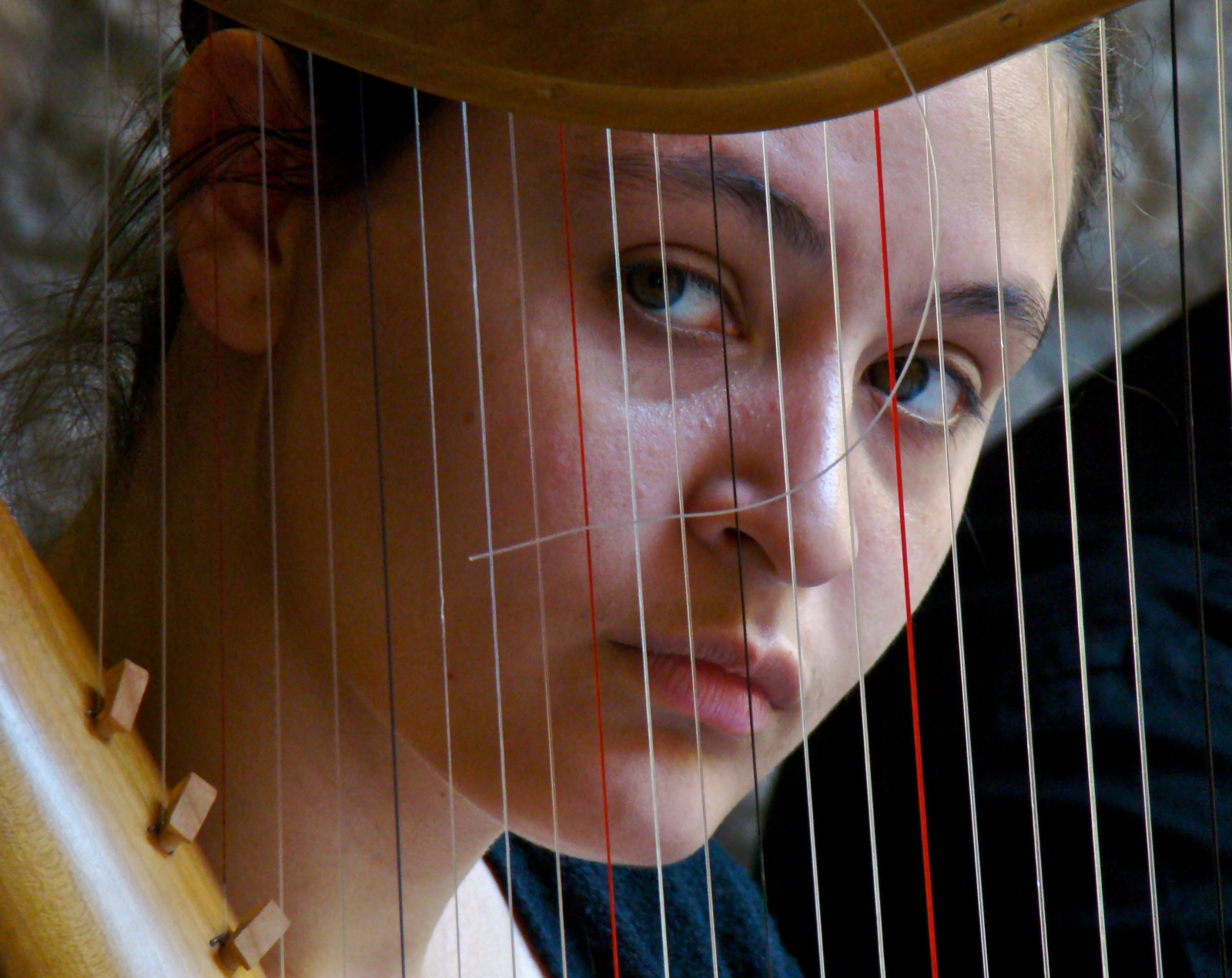 Sharp Face Musical Instruments Wallpaper : harp, face, cl rsach, string instrument, plucked string ...