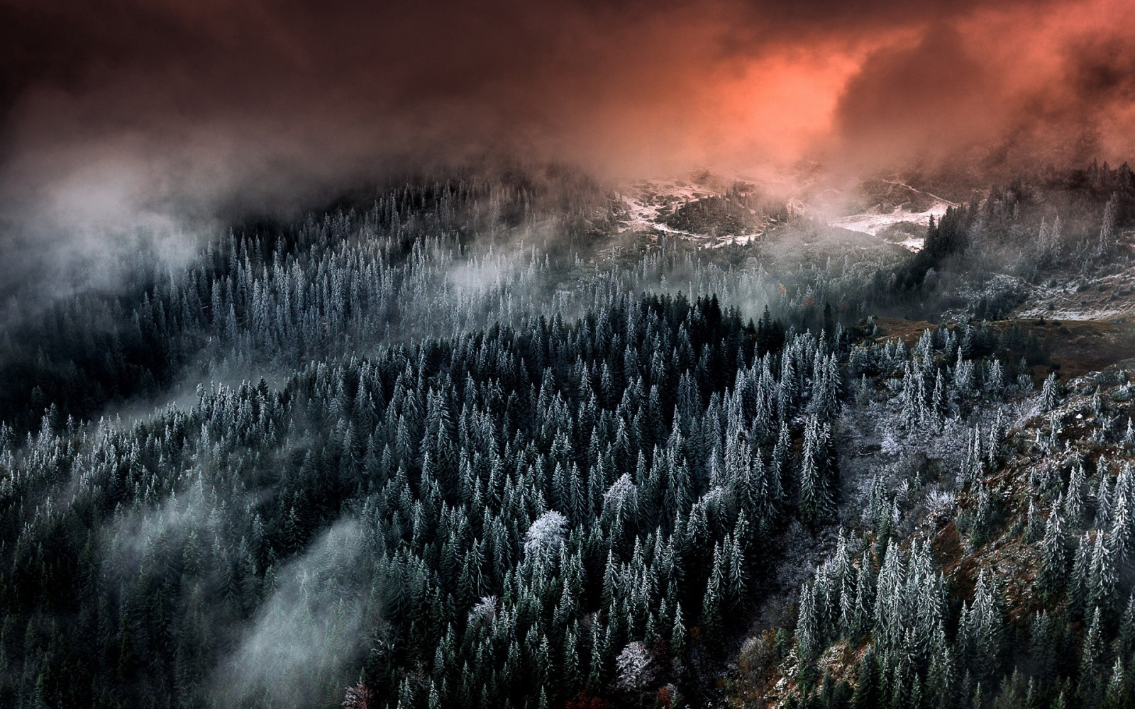 stromy, krajina, les, hory, Příroda, sníh, zima, mraky, ráno, mlha, mráz, mrak, hora, počasí, atmosférický jev, počítač tapeta, geologický fenomén
