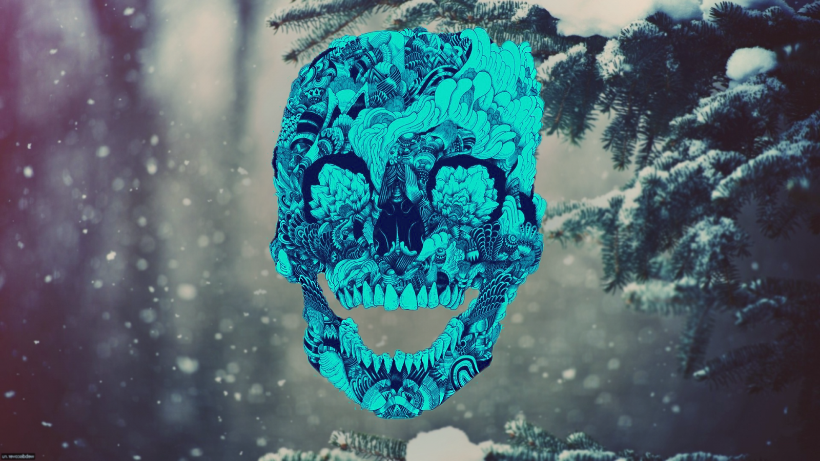 Download 400+ Wallpaper Biru Tengkorak Gratis Download 400+ Wallpaper Biru Tengkorak Gratis