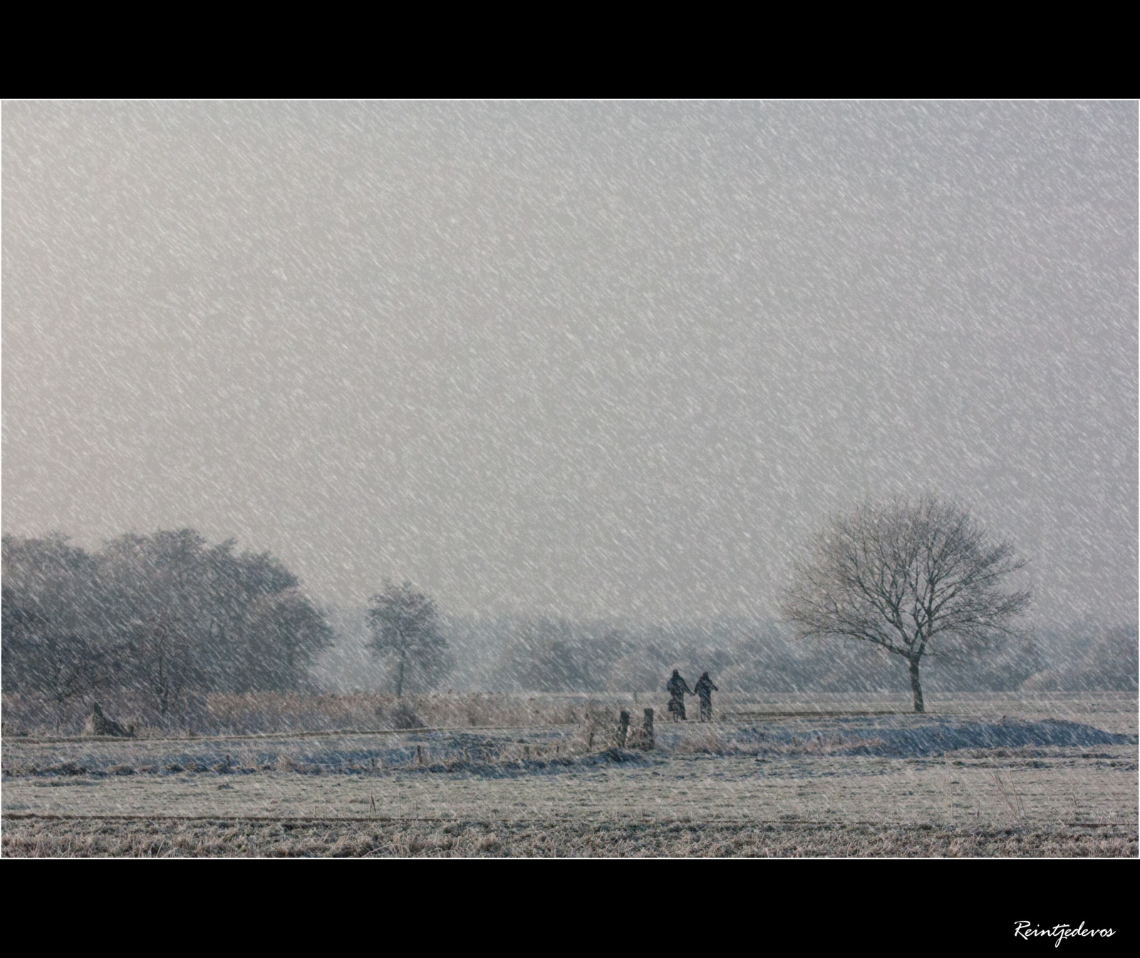 nebe, strom, mlha, zima, atmosféra, zmrazení, mlha, ráno, Atmosféra Země, mráz, jev, sníh, opar, horizont, krajina, Černý a bílý, mrak, stock photography, Trojzubec, větev, prostý