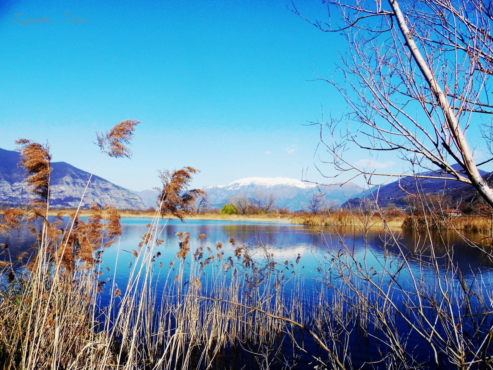 luce del sole, paesaggio, Italia, lago, acqua, natura, riflessione, erba, cielo, inverno, ramo, sera, mattina, brina, crepuscolo, albero, autunno, fiore, pianta, stagione, blinkagain, Italia, Lago, brasilemimagens, brescia, lombardia, iseo, pianta legnosa, famiglia di erba, laghi, lagodiseo, torbieredelsebino, franciacorta, Torbiere, torbierediiseo