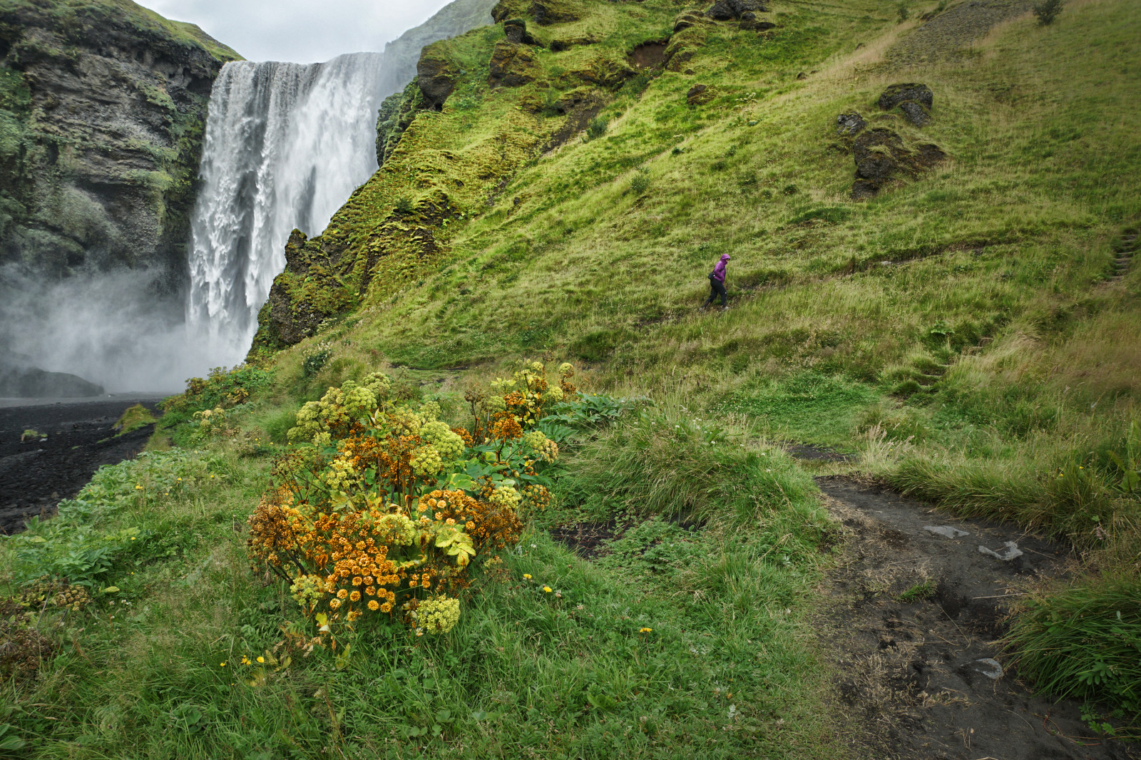 krajina, vodopád, kopec, voda, Příroda, útes, Sony, údolí, horský průsmyk, divočina, Island, proud, chůze, POV, plošina, rokle, Skogafoss, trekking, hřbet, Terén, majestátní, Krásná, cestovat, hora, oblíbený, stezka, dobrodružství, impozantní, vysočina, Islande, watefall, horských reliéf, geologický fenomén, pohoří, vodní prvek, stoupat
