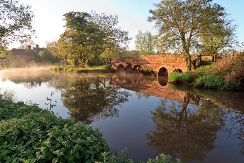 water, Canon, trees, Ford, sunrise, river water, Canon, trees, Ford, sunrise, river