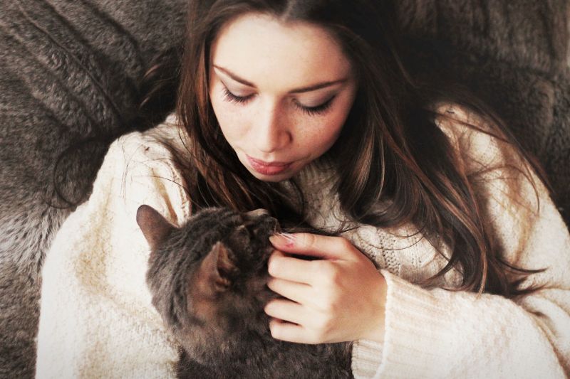 pige, pattedyr, pels, kat, små til mellemstore katte, whiskers