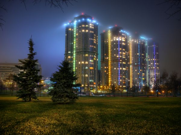 park,city,longexposure,blue,trees,light
