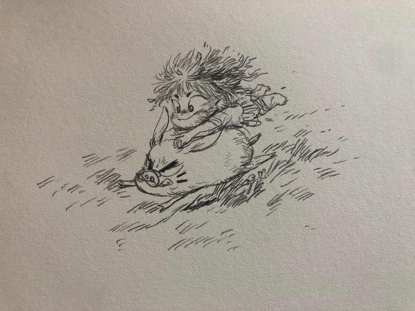 pencil drawing, prasata