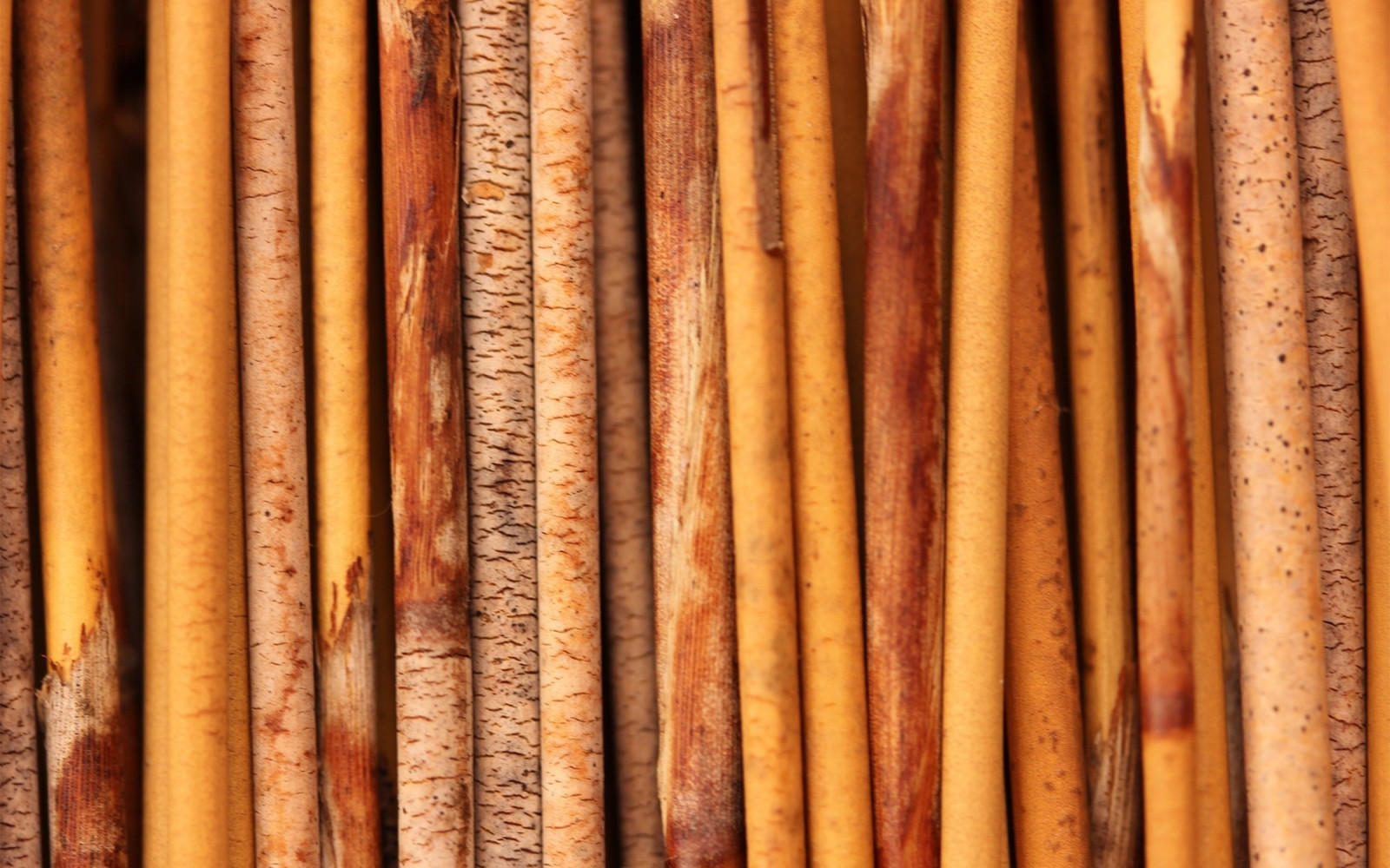 Příroda, dřevo, vzor, textura, Vzhled interiéru, bambus, materiál, tvrdé dřevo, kufr, závod stonek, mořidlo, Muž se objekt, rachotit, 2200x1375 px