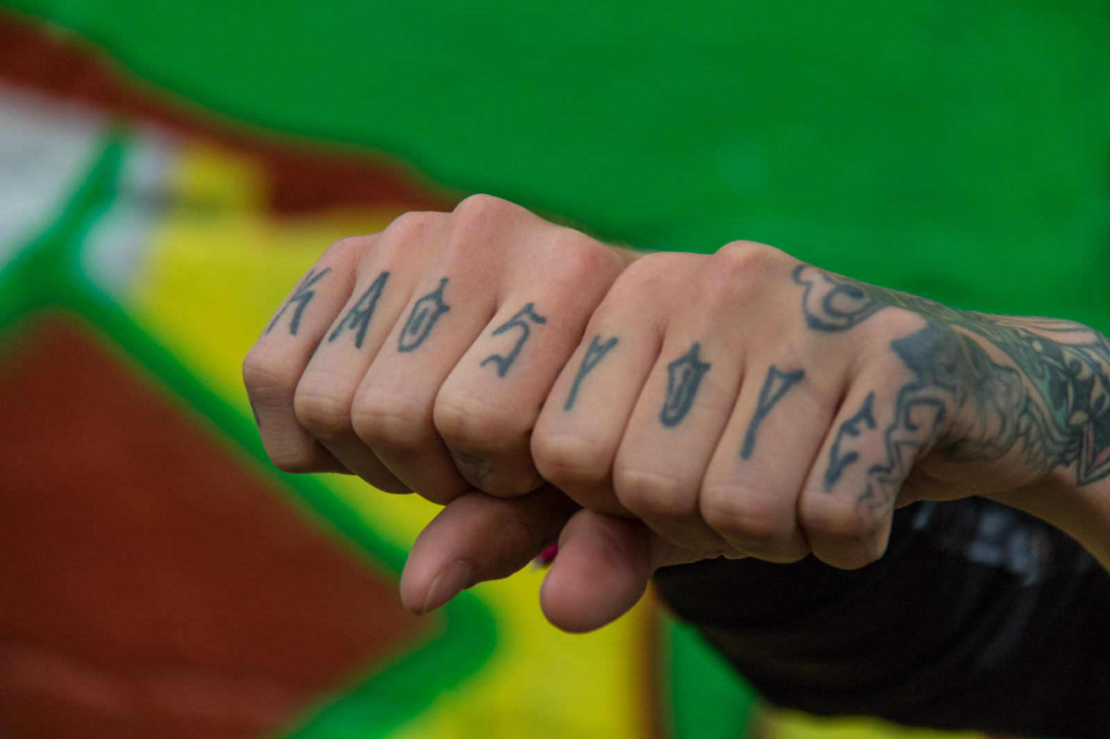 tetování, zelená, Stockholm, barva, ruka, nehet, prst, tatuering, graffiti, exif modelu canoneos760d, geocountry, Kamera aby kánon, geocity, Model fotoaparátu canoneos760d, geostate, geolocation, EXIF čočka efs18200mmf3556is, EXIF otvor 56, exif focallength 200mm, exif aby kánon, exif isospeed 1250, attackfoto, attackfoto7, r gsved, SN s trav gen, smysl, paže, zblízka