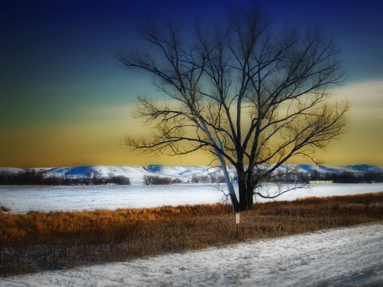 sníh, strom, pole, venkovský, kopce, Severní Dakota, prérie, pláně