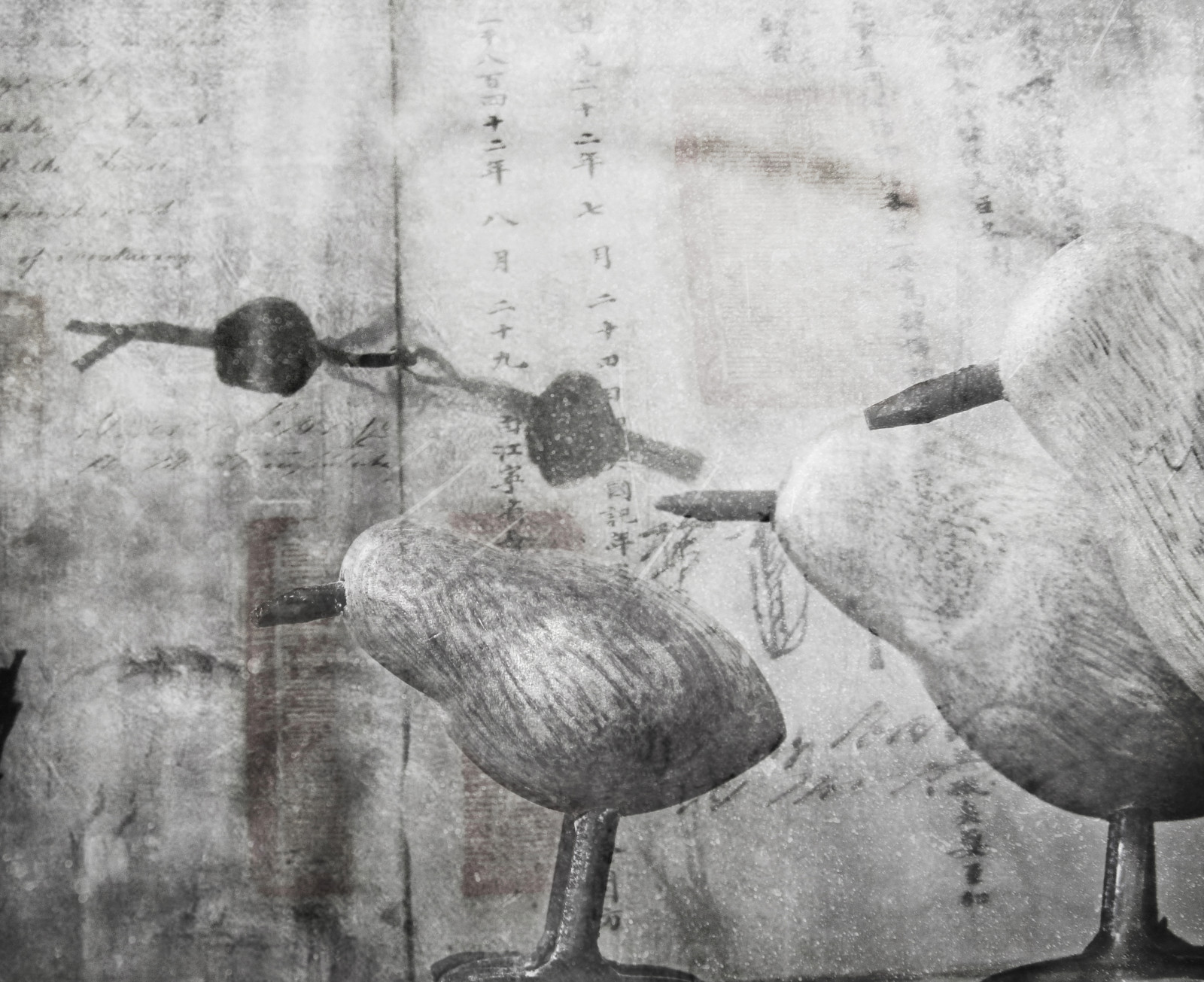 textura, mě, dívej se, ptactvo, vidět, Létat, slepý, text, cítit, vrstvy, jim, skript, hloupost, chamtivý, ctižádost, empatie, flightlessbirds, voicesfromadistantroom, thepowderblueday, asmallhorizon, titansofminnows