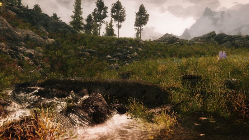 krajina, les, kopec, Příroda, tráva, údolí krajina, les, kopec, Příroda, tráva, údolí