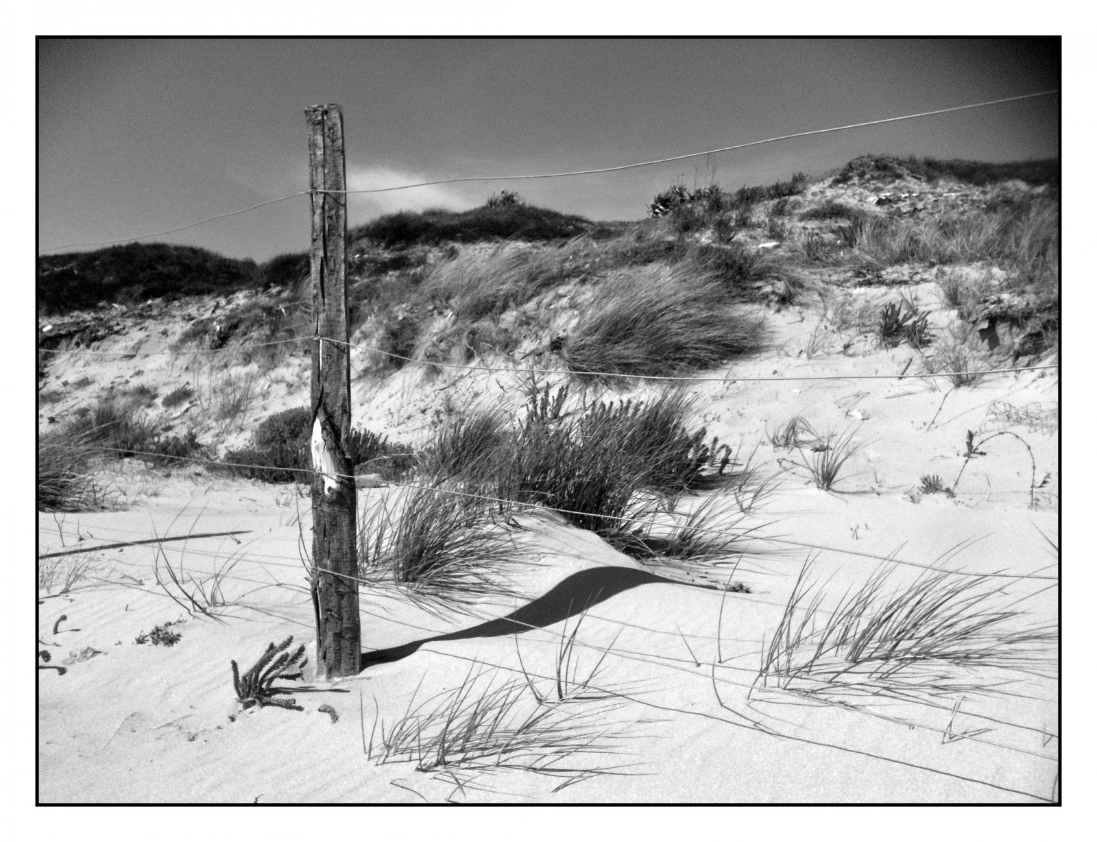 bw, sort hvid, noiretblanc, klit, nb, iledere, iPhone3GS