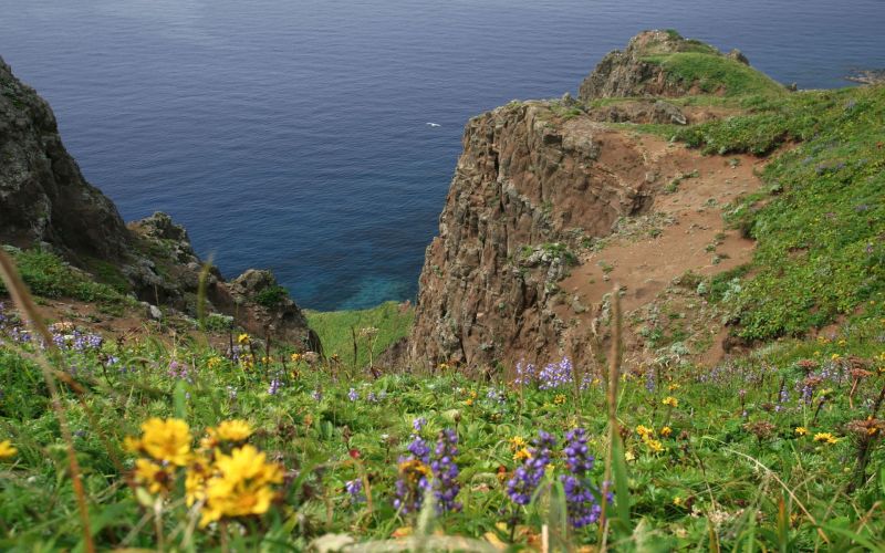 paisaje, mar, colina, lago, naturaleza, bahía paisaje, mar, colina, lago, naturaleza, bahía