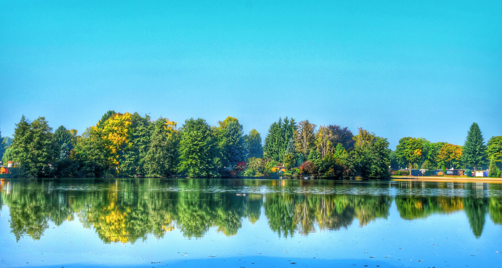 Fond d'écran réflexion, la nature, plan d'eau, feuille, Lac, ciel, arbre, jour, réservoir
